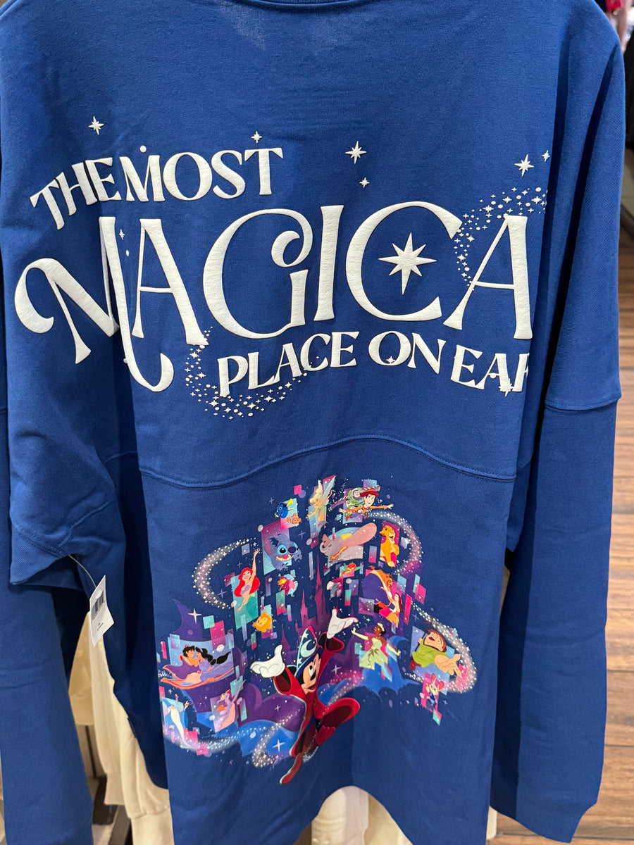 Spirit Jersey X Disney Parks